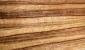 Black Limba wild