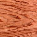 Bubinga