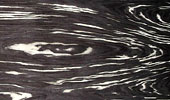 Farfalla Nera