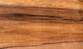 Indischer Apfelbaum Tineo