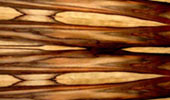 Palisander