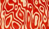 Fantasma Rosso