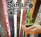 Unsere neusten SaRaiFo-Furniere