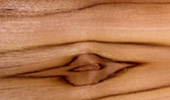 Teak