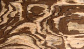 Zebrano Maser
