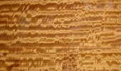 Zitrone Satinwood
