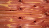 Aromatic Red Cedar