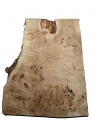 Pappel Maser Mapa Baumscheibe Tischplatte 88x55/69cm 63/67mm 