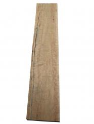 Vogelaugenahorn Holz Vogelaugen Tonholz 103x18/21cm 27mm 