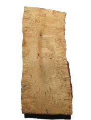 Birken Maser Holz Maserbirke Tonholz 49x19/22cm 77/80mm 