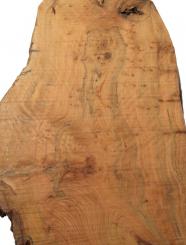 Thuja Maser Wurzelholz Thuya Epoxid Holz burl 70x12-29cm 63/65mm 