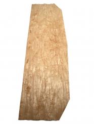 Birke Maser Holzfurnier Maserbirke Intarsie A2 88x40-55cm 1 Blatt 