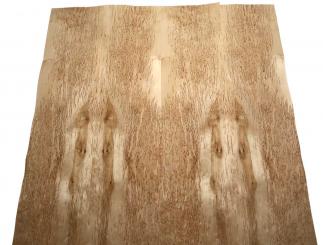 Birke Maser Holzfurnier Maserbirke Intarsie X 80x17-21cm 4 Blätter 