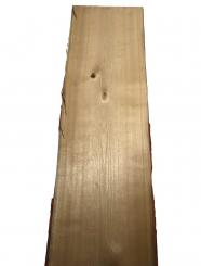 Sassafras Holz Brett Baumscheibe rustic 120x35-38cm x 23mm 