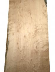Vogelaugenahorn Holz Vogelaugen Tonholz 74x23cm x 48mm 