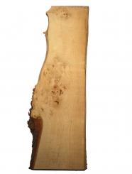 Ulme Rüster gemasert Brett Maserholz 125x31-37cm x 22-23mm 