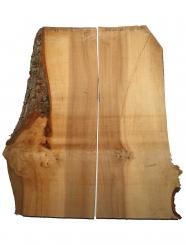 2x Ulme Holz Rüster gemasert Brett 78x22-36cm x 22mm 