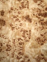 Pappel Maser Wurzelholz dünnes Furnier mit Papier 110x60-63cm V8 
