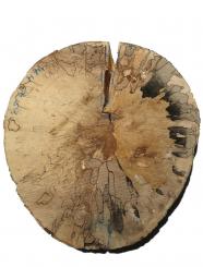 Gestockte Buche Holz runde Baumscheibe 43-45cm x 71-74mm 