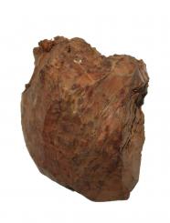 Thuja Wurzelholz Thuya Maser Drechseln 25x22x12cm 