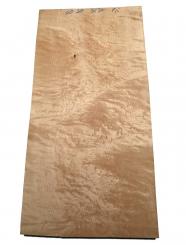 Vogelaugenahorn Holz Vogelaugen Tonholz 60x30cm x 36-37mm 