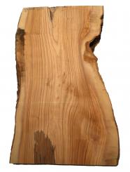 Oliven Holz Olivenholz Baumscheibe 81x40-50cm x 54-55mm 