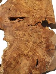Oliven Wurzelholz Maser Epoxid Holz Drechseln 53x20-28cm x 51-54mm 