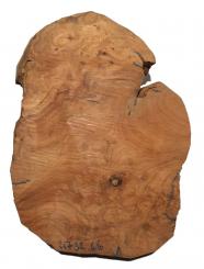 Thuja Wurzelholz Thuya Maser Drechseln 47x32cm x 66mm 