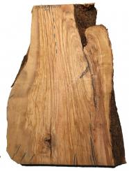 Oliven Holz Olivenholz Baumscheibe 59x26-39cm x 48-53mm 