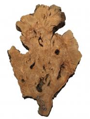 Oliven Wurzelholz Baumscheibe Olivenbaum 53x35cm x 39-40mm 