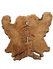 2x Oliven Wurzelholz Maserholz Epoxid Holz 42x25cm x 26mm 