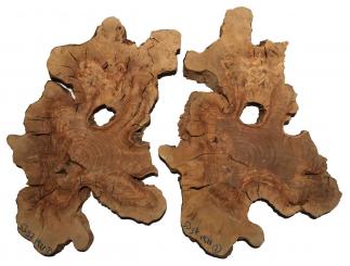 2x Oliven Wurzelholz Maserholz Epoxid Holz 53x37cm x 19-21mm 