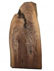 Nussbaum Riegel Holz +++ curly 83x19-37cm x 40-44mm 