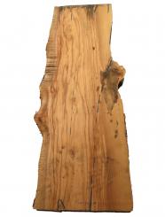 Oliven Holz Olivenholz Baumscheibe 71x22-28cm x 50-54mm 