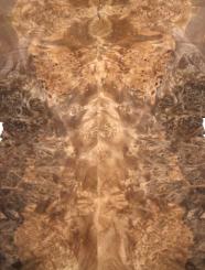 Nussbaum Wurzelholz Furnier Maser A 36x14-16cm 24 Blätter 