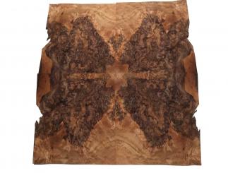 Nussbaum Wurzelholz Furnier Maser X 25x22-24cm 20 Blätter 