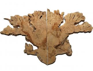2x Oliven Wurzelholz Maserholz Epoxid Holz 58x50cm x 31mm 