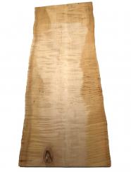 Ahorn Riegel Holz Riegelahorn Tonholz curly 77x29-35cm x 23-24mm 