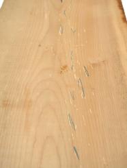 Ahorn Riegel Holz Riegelahorn curly 59x26cm x 49mm 