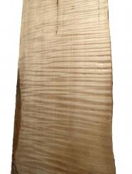 Ahorn Riegel Holz Riegelahorn Tonholz curly 83x22-23cm x 24mm 