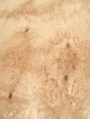 Birke Maser Holzfurnier Maserbirke Intarsie 1i 72x59-60cm 2 Blätter 