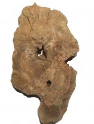 Oliven runde Baumscheiben Wurzelholz 51x27cm x 51-53mm 
