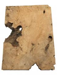 Oliven Wurzelholz Olivenbaum Maser Holz 39x30cm x 24-27mm S2 