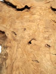 2x Oliven Wurzelholz Maserholz Epoxid Holz 52x29cm x 28-30mm 