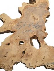 2x Oliven runde Baumscheiben Wurzelholz 57x39-46cm x 29-31mm 