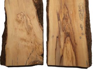 Oliven Holz Olivenholz Baumscheibe 61x23-27cm x 46-52mm 