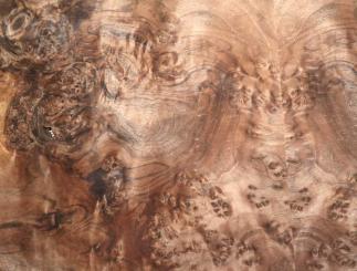 Nussbaum Wurzelholz Furnier Maser 2W 83x32-33cm x 2 Blätter 