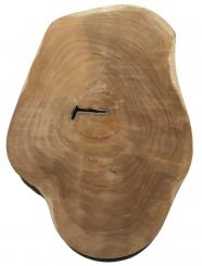Teak wilde Baumscheibe Teakholz Massivholz 46x32cm x 57-59mm 