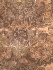 Nussbaum Wurzelholz Furnier Maser X 30x19cm x 24 Blätter 