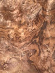 Nussbaum Wurzelholz Furnier Maser Y 29x24-26cm x 18 Blätter 